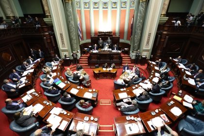 Vista general de la Cámara de Senadores del Parlamento de Uruguay. EFE/Raúl Martínez/Archivo 