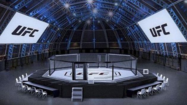 UFC anunció nuevos eventos en una isla de Abu Dabhi