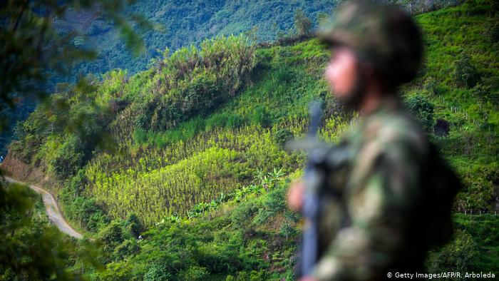 Kolumbien Koka-Plantage in Briceno (Getty Images/AFP/R. Arboleda)